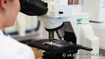 Antiviral made from sugar ‘may be game changer for diseases like coronavirus’