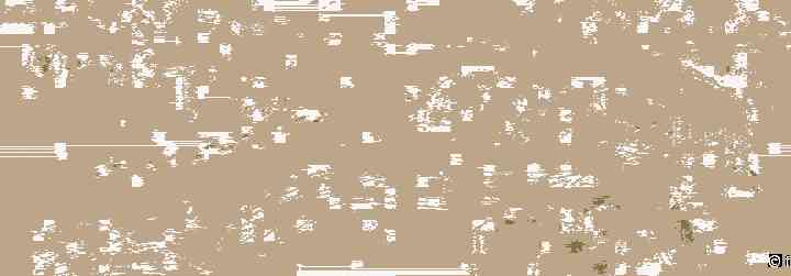 Pay Attention to These Web Design Trends for 2020 [7+ Trends]