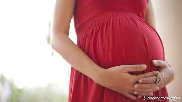 Low-calorie sweeteners pose a risk to developing babies, research says