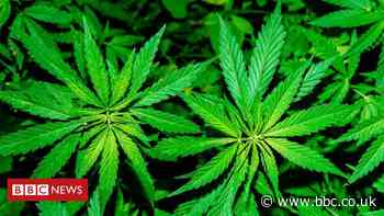 Belfast £1m cannabis seizure: Three men arrested
