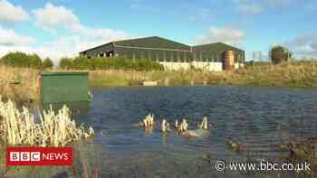 Mobuoy dump: Protesters disrupt council meeting