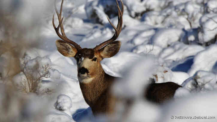 Bill Would Prohibit People Who Owe Child Support From Getting Hunting, Fishing Permits