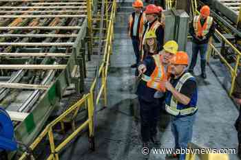 John Horgan calls for end to ‘high-grading’ B.C. forests