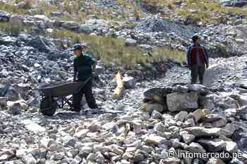 La Libertad: 3 mil mineros informales causan contaminación en Quiruvilca - Infomercado
