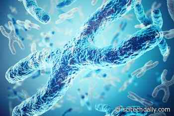 Novel Insight Into Down Syndrome and the Genetic Details of Chromosome 21