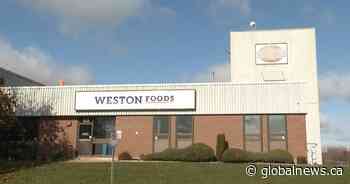 Kingston’s Weston Foods bakery set to close, 35 employees to lose jobs - Global News