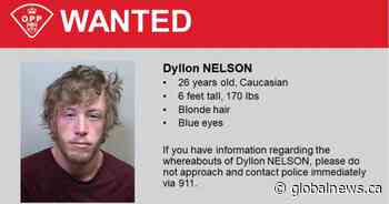 Man wanted in Deseronto home invasion attempt arrested in Kingston - Global News