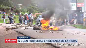 Siguen protestas en defensa de La Tigra - Diario La - La Prensa de Honduras