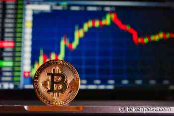 Blockchain Association launches Market Integrity Working Group for cryptocurrency transparency - TOKENPOST