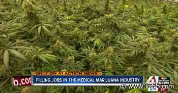 MO medical marijuana facilities looking to fill jobs - KSHB