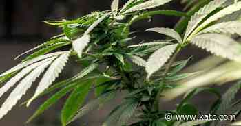 Covering Louisiana Louisiana medical marijuana grower releasing CBD products KATC NEWS 11:39 AM, Jan 29 - KATC Lafayette News