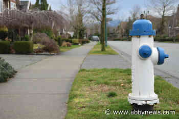 Gold hydrants won't be returning to Abbotsford neighbourhood - Abbotsford News