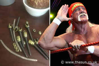 WWE legend Hulk Hogan shares picture of huge screws he had in his back after undergoing surgery - The Sun