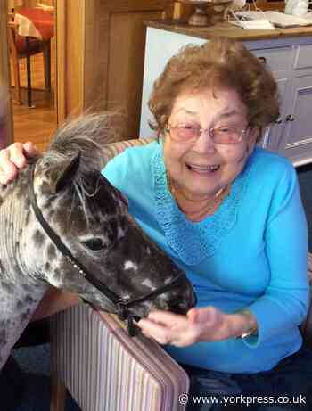 Therapy pony cheers up residents at Connaught Court Care Home in York