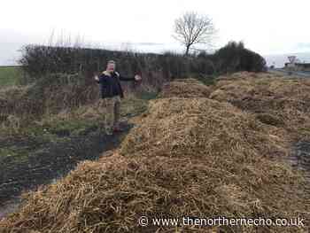 Mystery piles of manure appear around County Durham villages - The Northern Echo