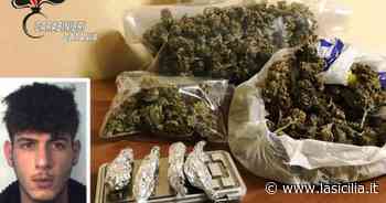 Catania, vendeva “erba” nel parco giochi di piazza Falcone e Borsellino - La Sicilia