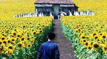 Lurago d'Erba "Ogni cosa è illuminata" - Giornata della Memoria 2020 - CiaoComo.it