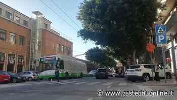 Viale Trieste, non facciamo di tutta l'erba un fascio: come riqualificare la strada "rispettando" gli alberi? - Casteddu on Line