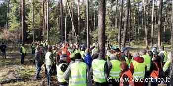 Là dove c'era l'erba ora c'è...la fabbrica tedesca Tesla - Vaielettrico.it