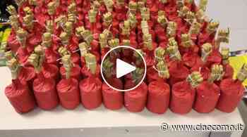 Como ed Erba, botti vietati da mezzogiorno e stop alle "lanterne" per il rischio incendi - CiaoComo.it