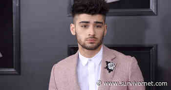 Former One Direction Singer Zayn Malik Powers a GoFundMe Campaign for 5-Year-Old Brain Cancer Survivor - SurvivorNet