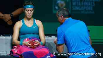 WTA to Allow On Court Coaching for Trial Period in 2020 - Tennis World USA