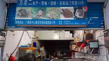 China temporarily bans wildlife trade in wake of outbreak