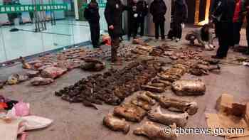 China virus outbreak revives calls to stop wildlife trade