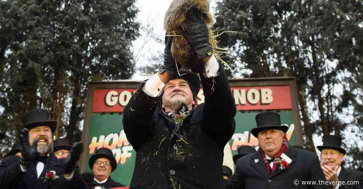 Punxsutawney Phil should be replaced with AI groundhog, says PETA