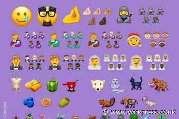 Transgender flag among new emoji approved for 2020