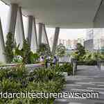 Hassell in Asia joins Architects Declare Climate and Biodiversity Emergency response