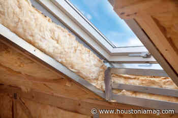 How to Make Houston Greener - Houstonia Magazine