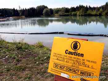 City to study expanding use of Hawrelak Park lake - Edmonton Sun
