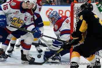 Edmonton Oil Kings unload on red-hot Wheat Kings in 6-2 win - TheChronicleHerald.ca