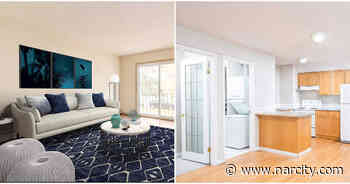 What $1,000 A Month For Rent Will Get You Across Edmonton (PHOTOS) - Narcity