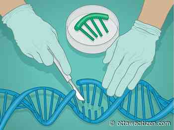 What can hold back the hands of time? Scientists have looked at these five treatments