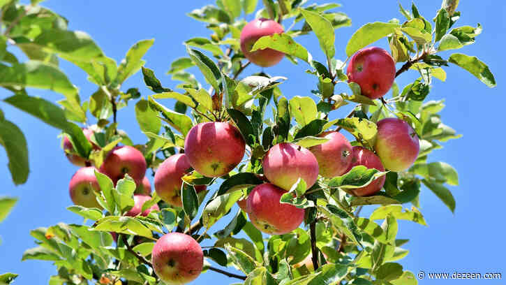 Housing commission final report recommends fruit trees and "fast track for beauty"