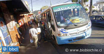 Buses Arauco-Lota-Coronel pararán recorridos este miércoles - BioBioChile