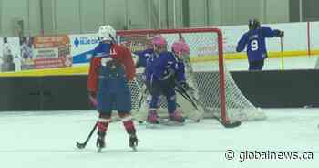 Hockey Alberta hosts first ever ‘Female Hockey Day’ in Lethbridge - Global News