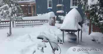 Lethbridge’s top stories of 2019 - Global News