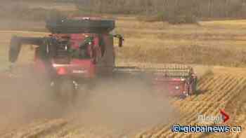 Farm equipment under cyberthreat: expert outlines the risks and how to protect yourself