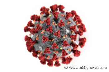 U.S. reports first case of human-to-human transmission of coronavirus