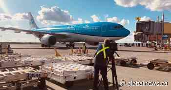 8.15M passengers passed through Edmonton International Airport in 2019