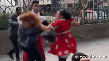 Minnie Mouse vs. Security Fight Video, Cops Want to Talk to the Women