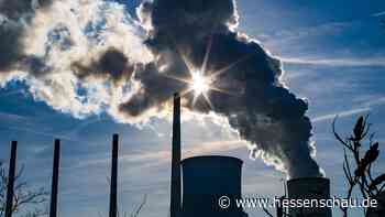Steinkohle-Kraftwerk Staudinger wird deutlich früher abgeschaltet - hessenschau.de