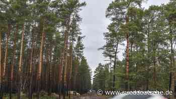 Auto - Potsdam - Tesla stellt sich Bürgerfragen: Umweltverband sieht Fragen - Süddeutsche Zeitung