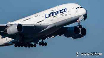 Coronavirus: Lufthansa streicht alle Flüge nach China! - BILD