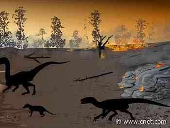 'Firewalker' dinosaurs survived in a 'land of fire'     - CNET