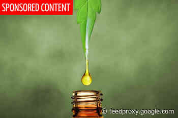 CBD Oil UK: Discover the 8 Best CBD Oils in the UK (2020)