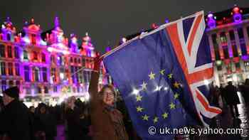 Brussels marks Brexit with Remain-supporting festivities